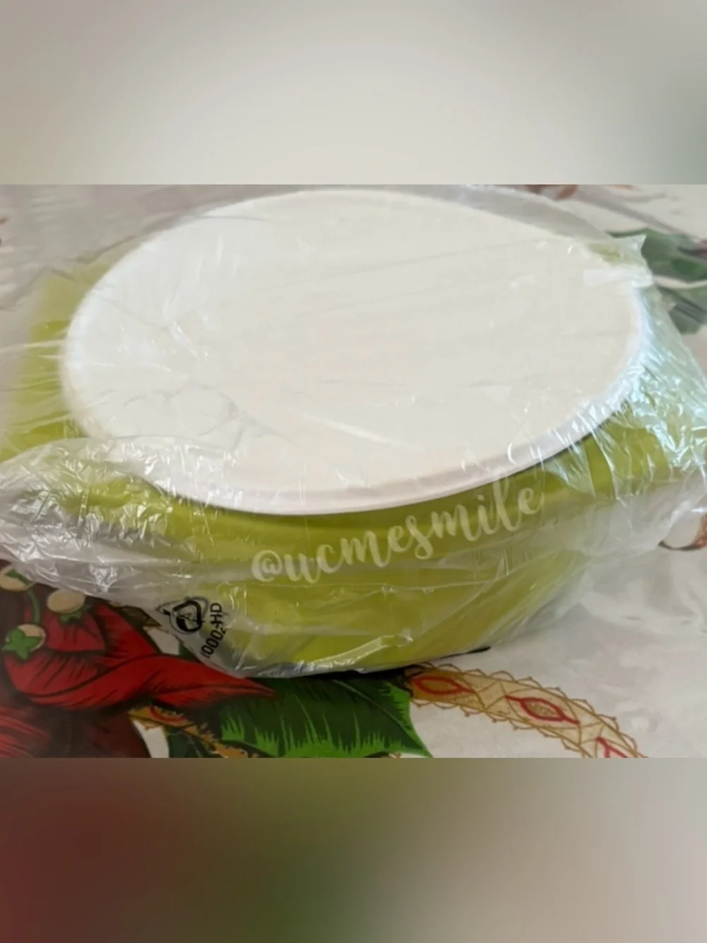 Tupperware Green Tortilla Keeper